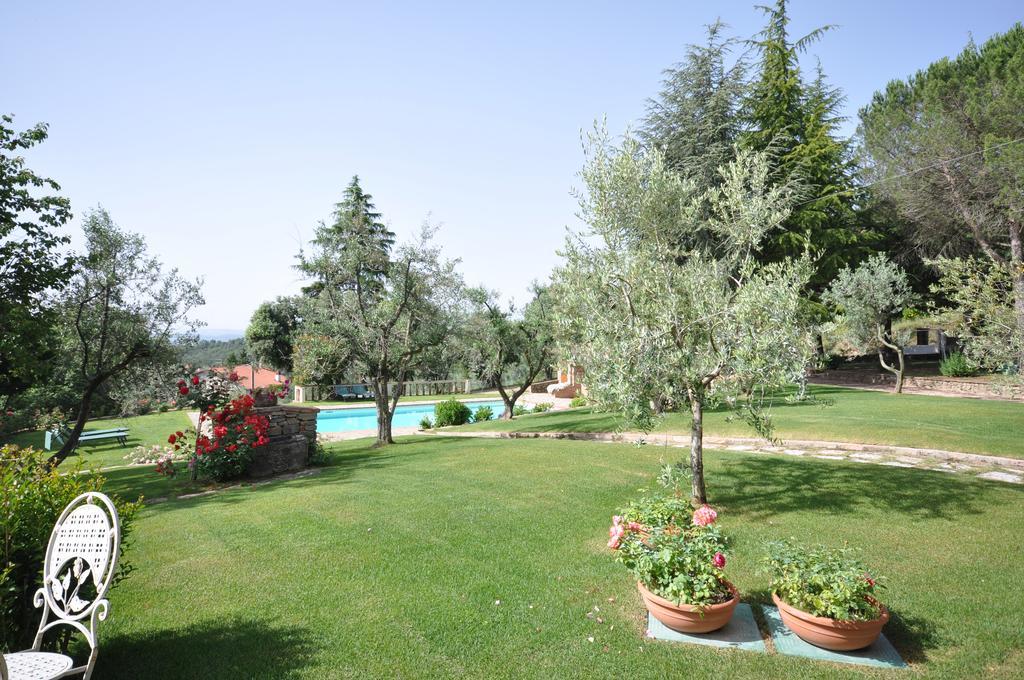 Villa Caterina Monte San Savino Exterior photo